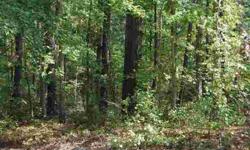 Over 5 acres in beautiful Chesterfield County, Cosby School District! Bring your own builder...Build it yourself, create your dream home... but don't let this chance go by!Listing originally posted at http