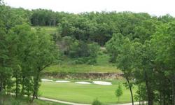 in Branson Hills golf community. Amenities include 18-hole Payne Stewart golf course, swimming pool, tennis courts, walking/biking trails, & a first-class country club with restaurant & lounge. Close to new Branson Hills shopping complex and just minutes