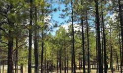 Imagine building your mountain retreat on a corner 1 Acre, surrounded by Ponderosa Pines and looking from your back deck to a large Common Area Greenbelt (only for walking and horseback riding) Such privacy and peace and quiet to get away from the city