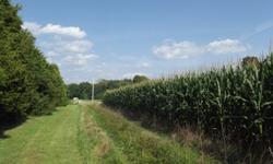 Nice tract of land about thirteen minutes from the interstate. Currently rented for agriculture, so income possibility. The 7.255 acre tract has some woods at the rear. Level acreage on a dead end road. Midway between Cincinnati and Greensburg, about 30
