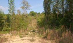This 26.49 acre tract is located off of Bachelor Creek Road in Asheboro, NC. The land features access via a 60 foot dirt road, rolling topography, and planted Loblolly pines. The loblolly pines were planted in 2002. This is an excellent tract for hunting