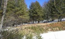 FORECLOSURE - 500,000+ acres of National Forrest hide this High County 51 acre escape. Less than 6 miles from downtown Cashiers. Perfect for family retreat, equestrian estate, or outdoorsman paradise. Numerous homesites pre-cleared. Meandering streams.