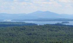 For additional details regarding this property, visitdo_not_modify_url lamprey & lamprey realtors m-l-s #4177201 located in moultonborough, new hampshire moultonborough â have your own castle in the clouds overlooking lake winnipesaukee. Listing