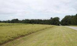 This 53 acre tract is located on the Highway 21 Corridor at Old Creek Road in Newington, GA. The land features dual paved road frontage and excellent visibility. Other features include level topography, fencing, and a beautiful open landscape of fields