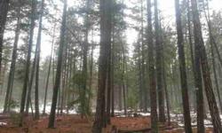 21 acres of nice standing timber that corners large track of timber co for recreational activities. Listing originally posted at http