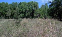 This 12.8 acres is located North of Lake City & across from I-10 with 5 acres in the front high & dry which would be the perfect amount of land for your new home & the rest for your recreation. The SRWMD owns the property to the rear so you will never