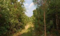 This 46 acre tract is located off of Highway 87N in Pittsboro, NC. The acreage features replanted Loblolly pines, deeded access and gently rolling topography. The acreage is perfect for hunting and recreational use; after being replanted with timber, the
