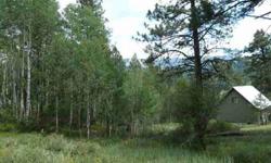 Land in this part of the county rarely becomes available and historically, this area has done well, even in lean times. When you stand on this lot and see the Aspens and the views of the peaks in the Upper Blanco River Basin you will see why.Listing