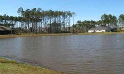 LARGE LAKE LOT ON THE ISLAND ESTATES SECTION OF OSPREY COVE. GREAT PRICE. GRETA PRIVACY. WESTERN VIEWS AND LARGE SITE TO BUILD HOME IN PRIVATE SETTING.
Listing originally posted at http