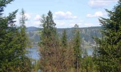 SELLER FINANCING ON THIS SECONDARY WATERFRONT LOT WITH COMMUNITY BEACH AND YOUR OWN BOAT SLIP, SOUTH END OF BEAUTIFUL LAKE COEURD'ALENE. NORTH IDAHO OFFERS ABUNDANCE OF FISHING LAKES, MOUNTAINS, HUNTING, WILDLIFE, BIKE TRAILS, HIKING AND SO MUCH MORE