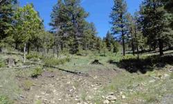 Panoramic views of the San Juan mountains from this 1.71 acre lot in Beaver Mountain Estates! Great meadow building site surrounded by trees. Lots of wildlife. Paved roads county maintained and utilities present. Close to the National Forest and a private