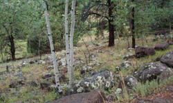 Three beautiful lots tucked in the back of Tommy Creek feature aspen, ponderosa, and pine trees and the creek is just feet away from the property. Back portion of lots have moss and lichen covered lava rock which makes a fantastic backdrop for your cabin