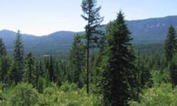 Best deal in the Colville zip code! 40 timbered acres offering privacy, seclusion, spectacular views & southern exposure. Backed up by large timber company lands this hard to find setting is perfect for the year-round resident, vacation home or hunting