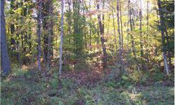 11.25 acres of wooded land. 321' of road frontage. Great country property. Quiet road. Low taxes. Great hunting. Timber available.Listing originally posted at http