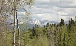 Spectacular views with Southern exposures. Incredible value with the well and septic system installed. Conveniently located minutes from Hwy 40.
Listing originally posted at http