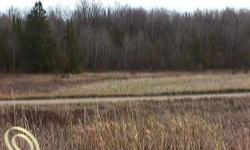 YOUR UP NORTH PARADISE AWAITS YOU !!! PRIME ~ AWESOME ~ 40 ACRE WOODED PARCEL OF LAND~ PERFECT FOR HUNTING, CAMPING, FISHING, ETC. ROGERS CITY~ OCQUEOC FALLS~ AND STATE PARKS NEARBY !! 80 ACRE FARM HOUSE IS ALSO AVAILABLE WITH 3 OUTBUILDINGS SELLERListing