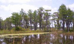 2.35 ACRES WITH WATERFRONT ON LAKE McKENZIE, located on paved road, established landscaping. Nice oak, magnolia, palm, and other flowering trees & bushes. Adjoining lot available for purchase that would double the amount of room to grow and more lake