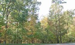 Dramatic basement lot located in the Saddle Ridge neighborhood. The heavily wooded site is on a private cul-de-sac. Perfect for a lower level walk-out custom home. Delightful views to the west No time limit to build. Bring your builder!Listing originally