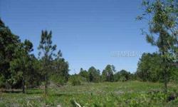 10 Acres more or less in the Cypress Isle community with St Johns River access and Boat Launch. Paved road leads to the almost square lot of approx 650 ft x 670 ft. Bring you horses and ride them on the 150 acres of Hickory Bluff preserve nearby. If you