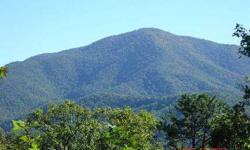 Its not how much land you own in the mountains, its what kind of views you have and loc-loc-loc. This property offers no obstructive views of one of the best mountains in Tennessee-Cove Mountain and the valley in Wears Valley. This property resides on a