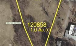 Golfer's delight. This 1 acre level lot borders Dutchess Golf and Country Club. Situated near shopping, train, hospitals and colleges. Town water and sewer are available. Great investment opportunity or build your dream home.Call