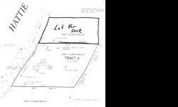 Affordable 2+ acres on recreational development lake. 209' of frontage. Enjoy fishing Lake Hattie and hunt & ATV to your heart's content with thousands of acres and boundless recreational opportunities.Listing originally posted at http