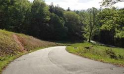--Beautiful, gentle grade lot with great mountain views in quiet Mills River Community. 1800 sq.ft. minimum home size deed restriction. Only 18 large lots available. All roads are paved and lots are clearly marked. Out in the country feeling, but only 7