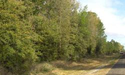 Florida-cracker woods/acreage tract, with paved-road frontage, located just North of Old Town in Dixie County. The rolling 9.69-acres has a nice mix of hardwoods & pines throughout, located next to some well-kept home-sites (also on acreage) nearby. Has