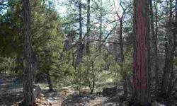 Beautiful 1.50 acre home site with tons of old growth and towering ponderosa pines! Diane Dahlin is showing 2750 Acorn Trail in OVERGAARD, AZ which has 3 bedrooms and is available for $69900.00. Call us at (928) 535-3656 to arrange a viewing.Listing