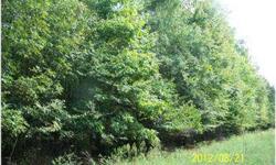 Beautiful property, nearly level with creek in back. About 20 minutes from Amelia.Listing originally posted at http