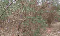 Nice 1.08 acre lot in Mill Creek Estates...perfect country living. Build a nice country get away! Not far from the Renaissance Festival.
Listing originally posted at http