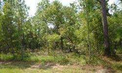 Large lot in a Culdasac, in an area of new homes. 100% wooded. Nice quiet county setting. White Diamond Realty - Call Virginia 352-238-6498 http