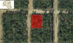Florida Land for sale by owner $6,000.00 .44 acres corner lots.. These 2 lot are 100% buildable. By Owner financing available with $200.00 Down, $200.00 per month 0% interest, Contract for deed.