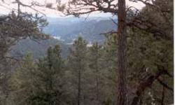 Purchase 20 Acres of Beautiful Gem Mining Property in the Colorado Mountains... With Pines, Aspen, and Meadows . . . . . For Only $6,500.00 (Six Thousand Five Hundred Dollars). A Vacation Retreat With Gemstones, Mining Claim, Hunting & Fishing Area;