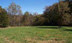 Very nice building lots. 2 lots - lot 1599 and lot 1600. Open pasture in front. Timber on side and rear. Common property borders lots. Easy walk down to inlet. Association dues are $475/yr per lot. Build home on both lots - pay only $475/yr in dues. 2nd