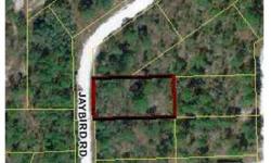 Nice building lot, Wooded lot in an area of new homes. Close to the New Publix Shopping Center with SunTrust Bank, Walgreens and New Weeki Wachee High School. White Diamond Realty - Call Virginia 352-238-6498 http