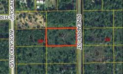 Great lot location, this 165x300 lot is located on quiet dead end street one block to paved road and just minutes from some of the best fishing in the area. This lot is NOT on the low lot list. Buyer responsible for all improvements and inspections