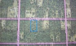 Nice 165 x 330' lot in Flagler Estates, zoned for a mobile home. This parcel is priced to sell. Owner will consider owner financing. Buyer responsible for all improvements including well, septic & inspections.Listing originally posted at http