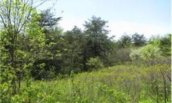 DIAMOND IN THE ROUGH! 3.45 USEABLE ACRES WITH SOME NICE HARDWOODS AND SMALL CLEARINGS. PRIVATE BUILDING SITE, YOU WONT SEE THE NIEGHBORS! TRANSFORM THIS LOT INTO A SELF SUFFICIENT MINI RANCH WITH SOME ANIMALS AND A GARDEN. MOBILE HOMES ALLOWED, COMMUNITY