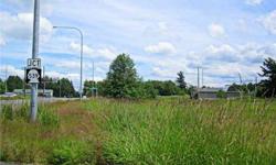 Amazing land opportunity. Build your dream space on 1.3 acres of lush grass and trees. Corner lot. Perfect location between Bellingham, Ferndale and Lynden! It's time to invest!