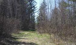 You can have it all - Peace, privacy, and enjoyment of woods and trails and on Drewery Lake! Hunt, relax, build your dream home or cabin. Also available, Lots 1-3, Blk 1. MLS-12-1633Listing originally posted at http