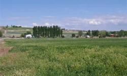 Building permit available with this 6.1 acre parcel located in North Marsing near the Snake River in the heart of Idaho's Wine Country. Build your dream home with the Owyhee Mountains in your back yard. This parcel is large enough to have a great horse