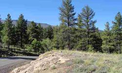 Fantastic building site in Beaver Mountain Estates with panoramic views up Wolf Creek Pass, and up the canyon toward Creede. Lots of wildlife and trees, and a private stocked fishing pond for homeowners use. Private water system, septic required, all
