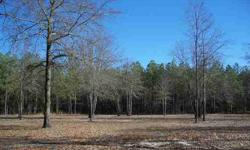 This is truly a beautiful 3.3 acre lot located in the Estate section of Bridle Creek equestrian community. The owners have carefully cleared this property leaving a natural buffer of pines at the front for privacy and highlighting the hardwoods on the