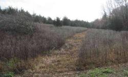 Attention Hunters! Here is a great hunting tract with good populations of deer and turkey. The food plot sites are already established and there are two wildlife watering holes constructed.Listing originally posted at http