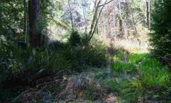 This is a beautiful one acre parcel with some gorgeous redwood trees on the property. This is more like a park like setting for someone to build their dream home on. I don't think you will find another property with some nice redwood trees on it listed so