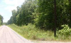 MOTIVATED PROPERTY! Take a look at this GREAT piece of property to build your dream home on! GREAT location with easy access to Hwy 59 between Cleveland and Shepherd. Beautiful trees; fully wooded lot; very private and in the country. There is timber