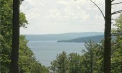 Spectacular Keuka Lake view! 16 acre wooded lot, perfect for your new Finger Lakes dream home getaway. Driveway leads up to a cleared area ready for a structure. Great Adirondack feel to this wooded lot, makes it a private tucked in the woods place with a