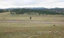 Good horse property with scattered pines and view of Harney Peak. 25 minutes from Rapid City. Good percolation areas for septic systems, well depths are reasonable. Section line fund along South lot line. For more pictures and information, visit
