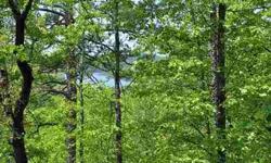 Year round view of the lake from your very secluded home building site. View could possibly be greatly improved. 1322 ft of government boundary line!Otherbuilding sites, without lake views are available. This property would make a great investment for